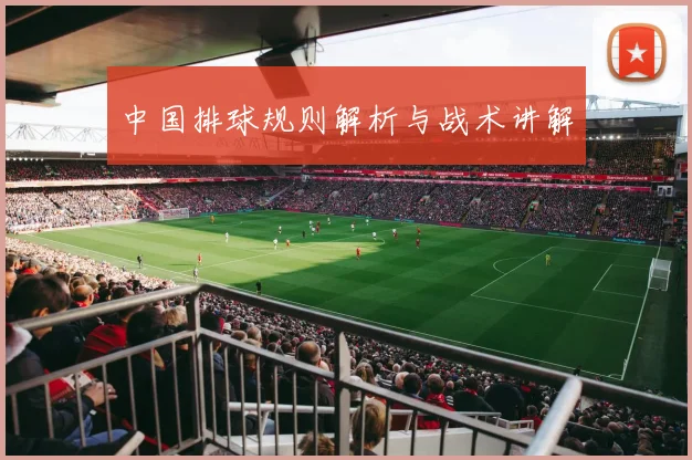 中国排球规则解析与战术讲解