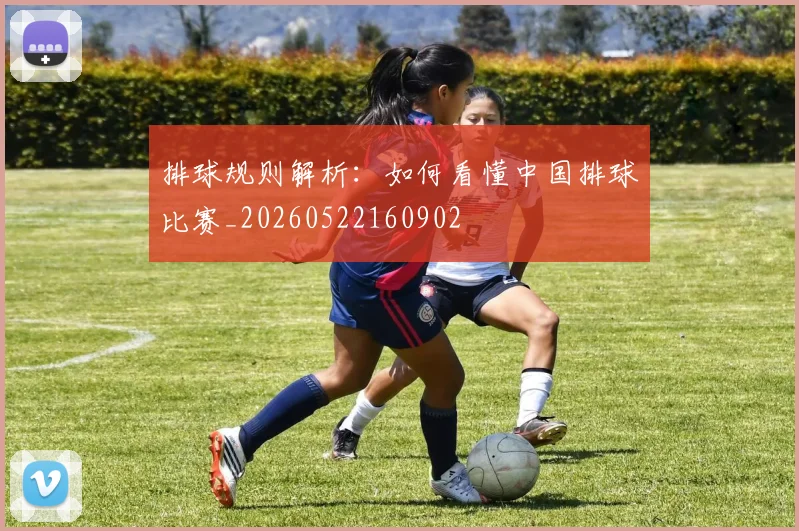 排球规则解析：如何看懂中国排球比赛_20260522160902
