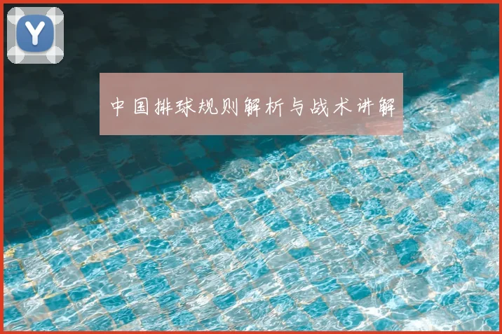 中国排球规则解析与战术讲解