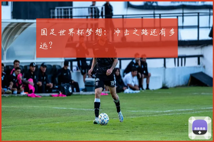 国足世界杯梦想:冲击之路还有多远?
